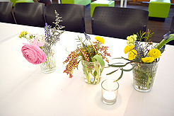 SPRING HAS SPRUNG BAT MITZVAH